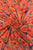Hummingbird & Floral Print Frayed Scarf