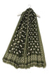 Polka Dot with Boarder Frayed Scarf