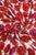 Intertwined Poppy Print Frayed Scarf