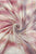 Foiled Zebra Stripe Print Frayed Scarf