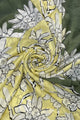 Intwined Floral Print Silk Scarf