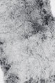 Twist Faux Fur Snood (A)