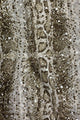 Silver Splatter Foiled Snakeskin Print Scarf with Tassels - Fashion Scarf World