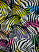 Colourful Zebra Print Snood